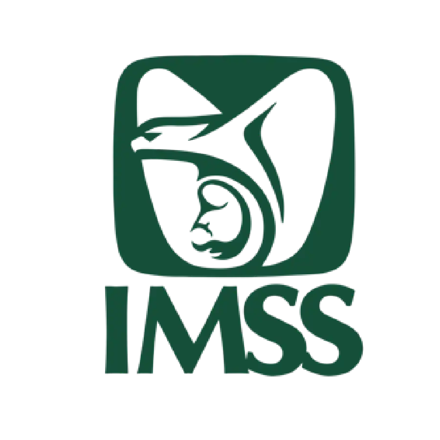 hospital imss